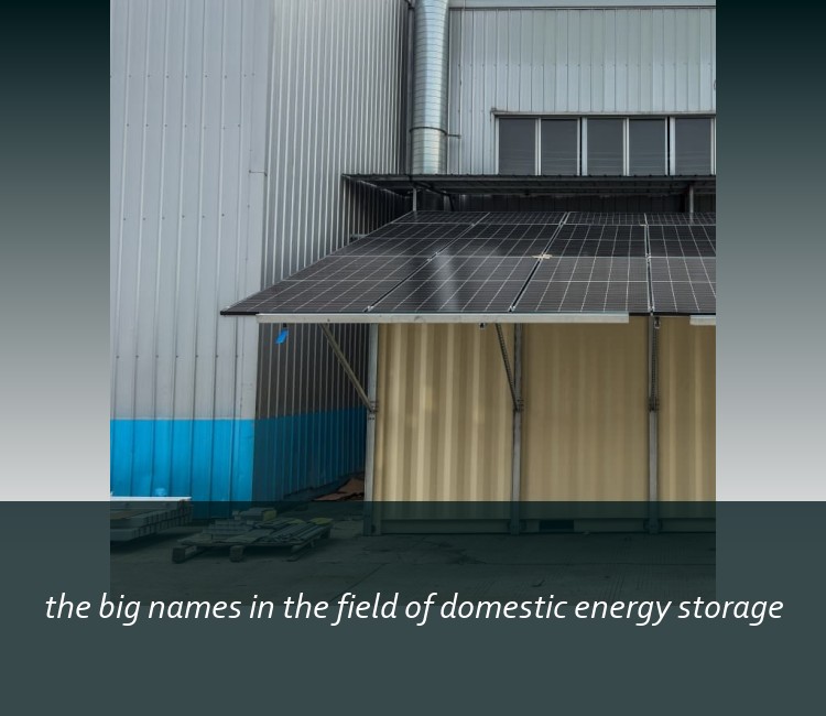 the big names in the field of domestic energy storage