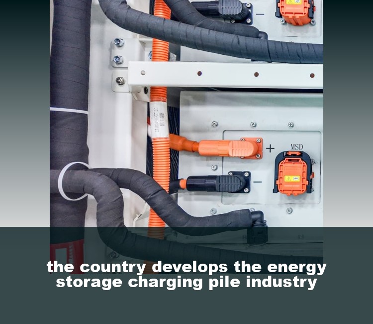 the country develops the energy storage charging pile industry