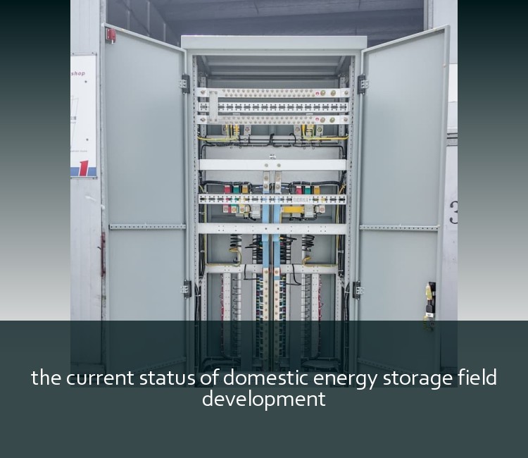 the current status of domestic energy storage field development