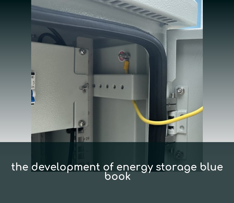 the development of energy storage blue book