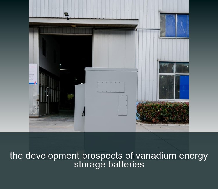 the development prospects of vanadium energy storage batteries