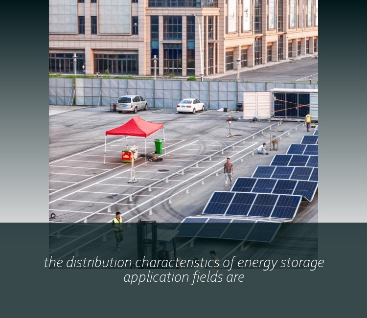 the distribution characteristics of energy storage application fields are