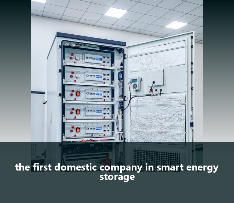 the first domestic company in smart energy storage