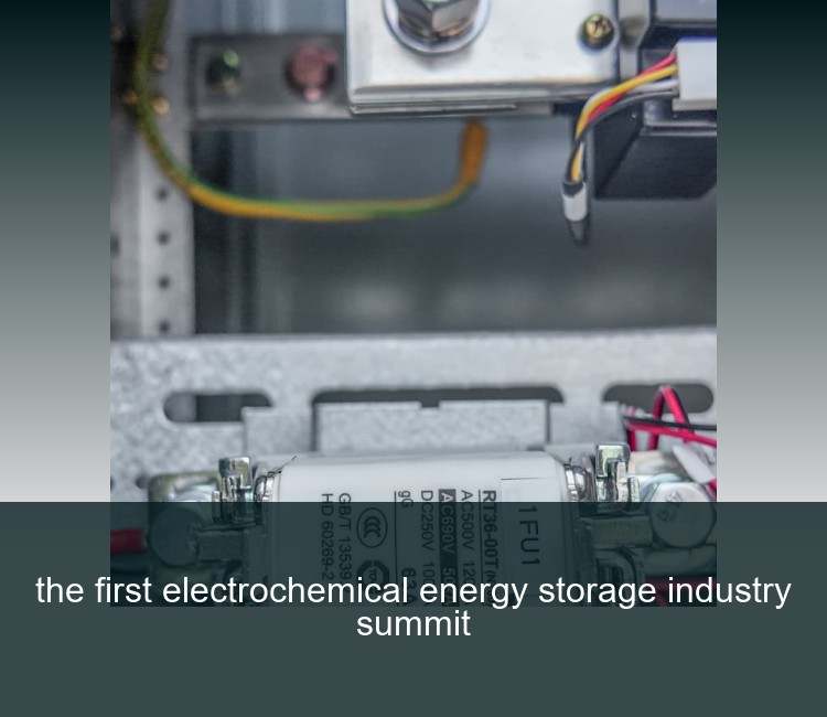 the first electrochemical energy storage industry summit