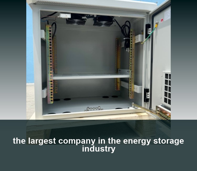 the largest company in the energy storage industry
