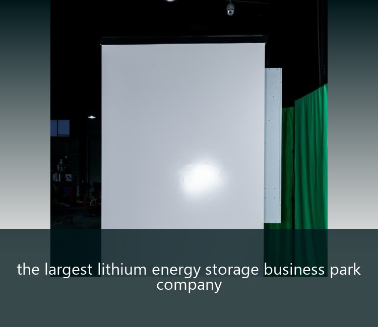 the largest lithium energy storage business park company