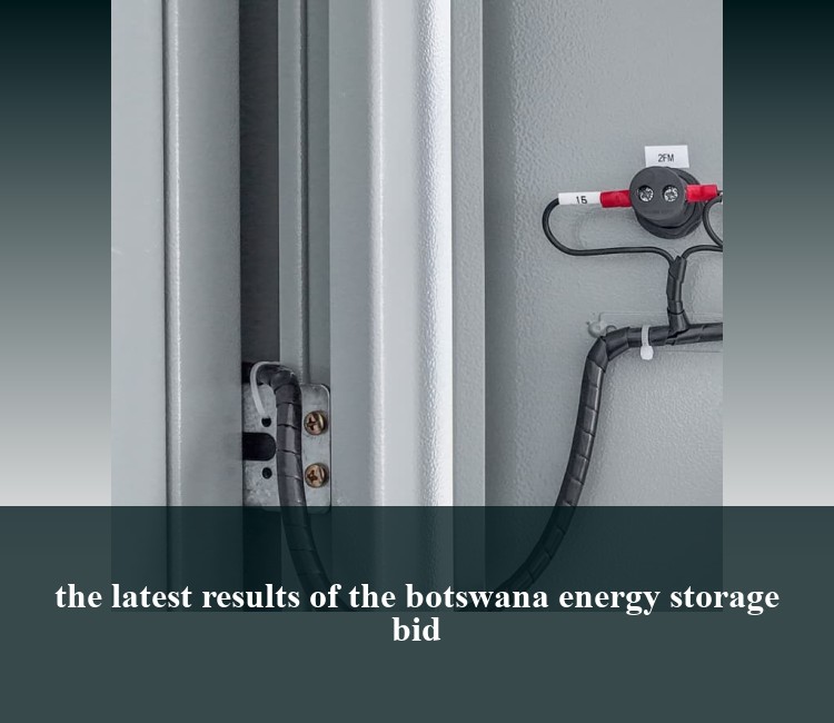 the latest results of the botswana energy storage bid