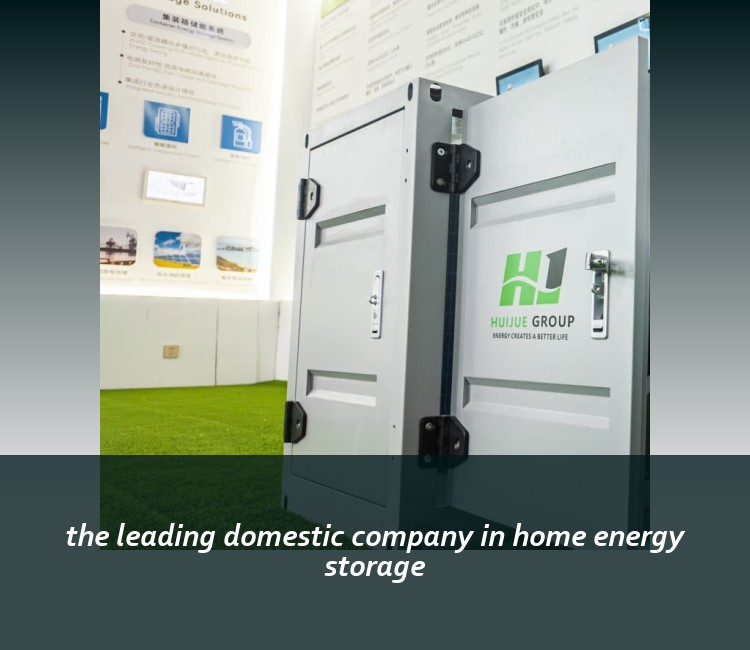 the leading domestic company in home energy storage