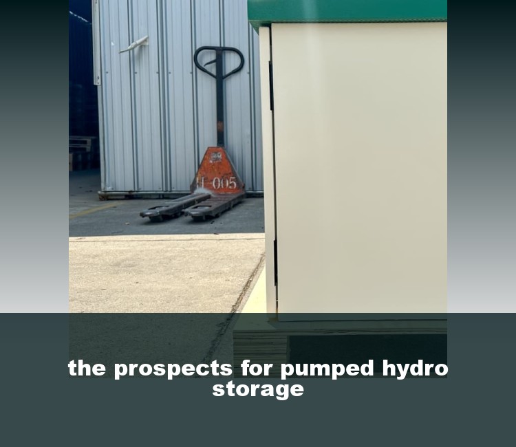 the prospects for pumped hydro storage