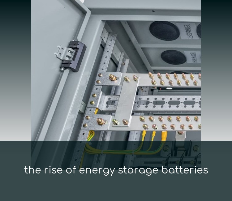 the rise of energy storage batteries