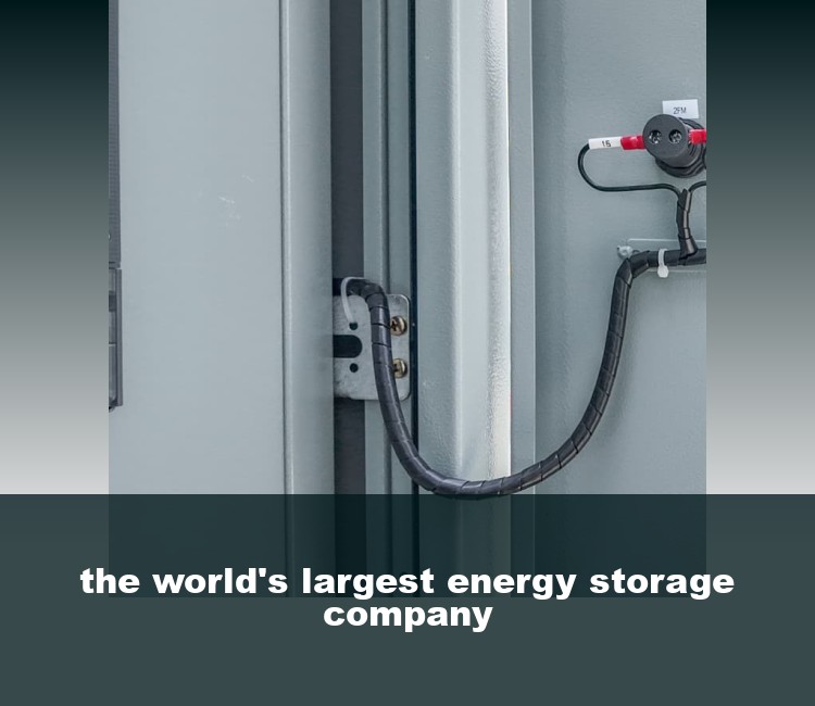 the world's largest energy storage company