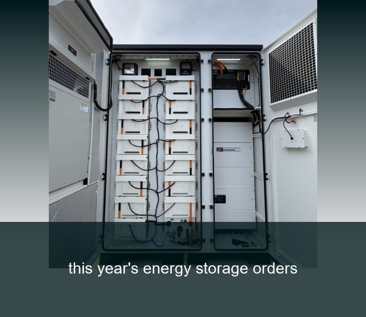 this year's energy storage orders