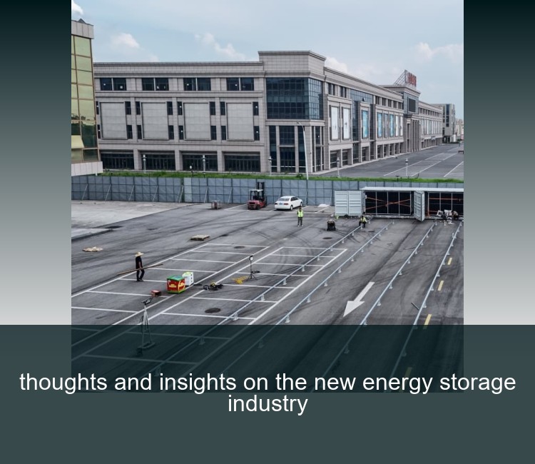 thoughts and insights on the new energy storage industry