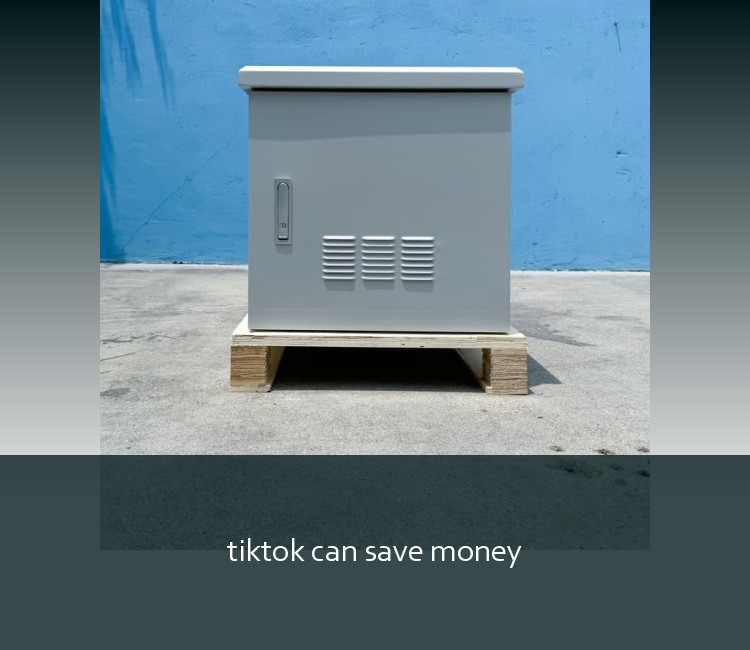 tiktok can save money