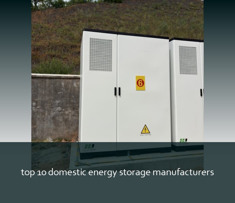 top 10 domestic energy storage manufacturers