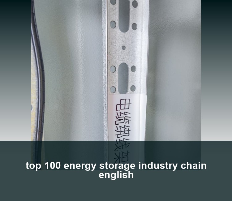 top 100 energy storage industry chain english