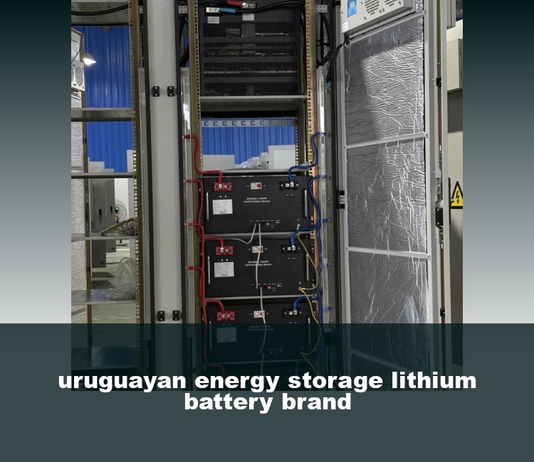 uruguayan energy storage lithium battery brand