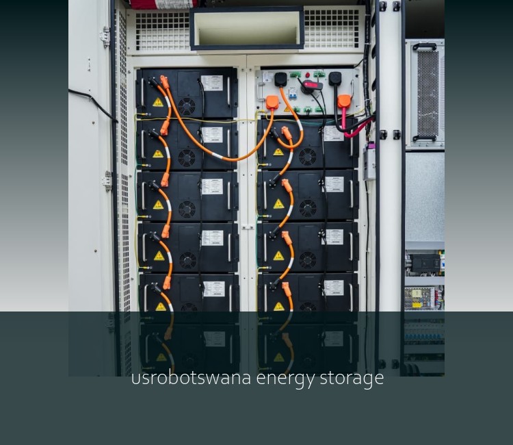 usrobotswana energy storage