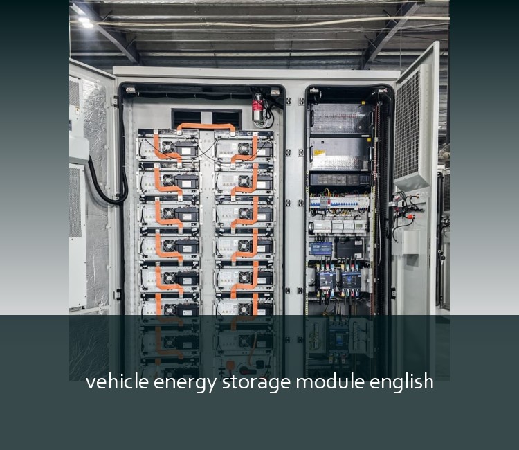 vehicle energy storage module english