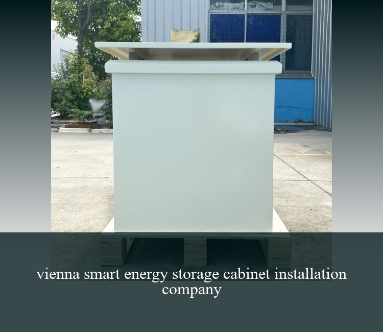 vienna smart energy storage cabinet installation company
