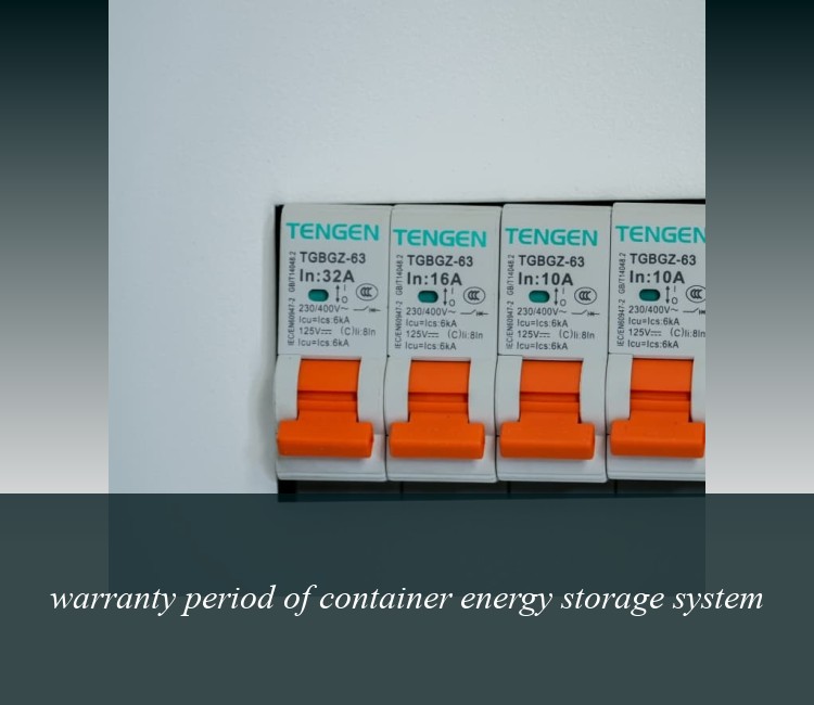warranty period of container energy storage system