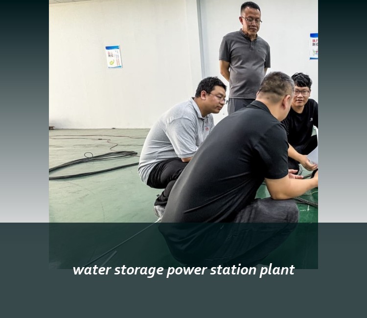 water storage power station plant