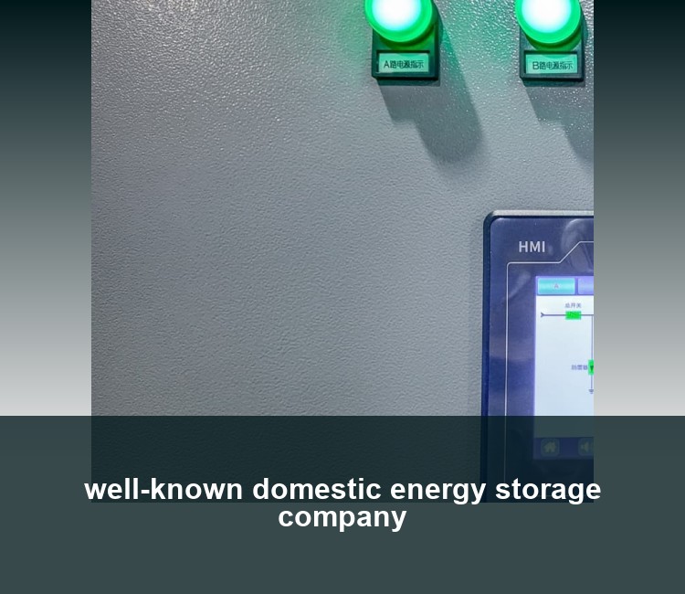 well-known domestic energy storage company