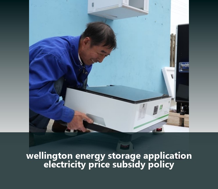 wellington energy storage application electricity price subsidy policy