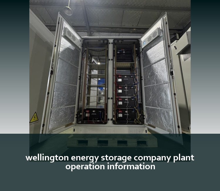 wellington energy storage company plant operation information