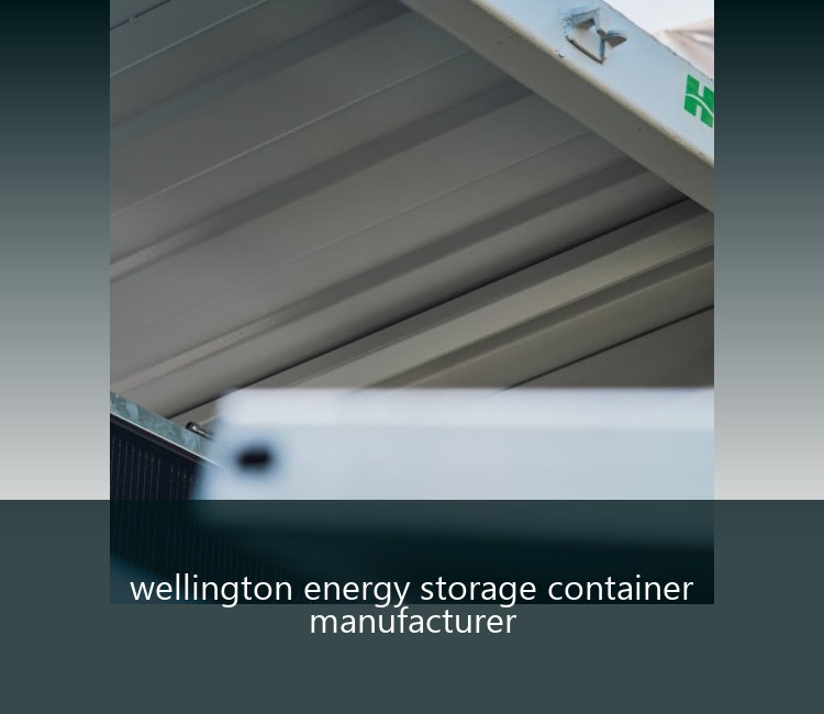 wellington energy storage container manufacturer