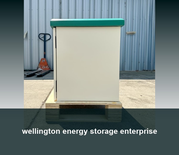 wellington energy storage enterprise