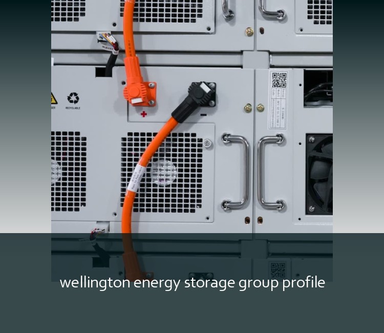 wellington energy storage group profile