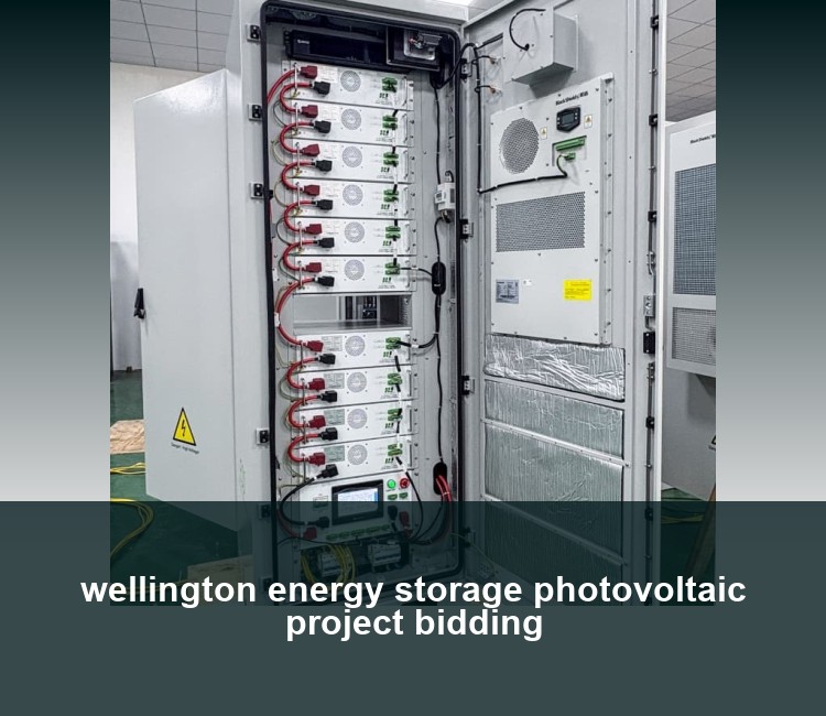 wellington energy storage photovoltaic project bidding