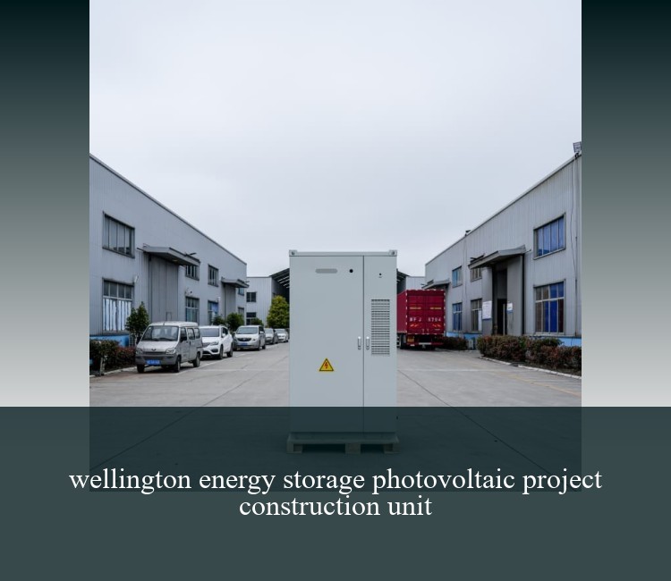 wellington energy storage photovoltaic project construction unit