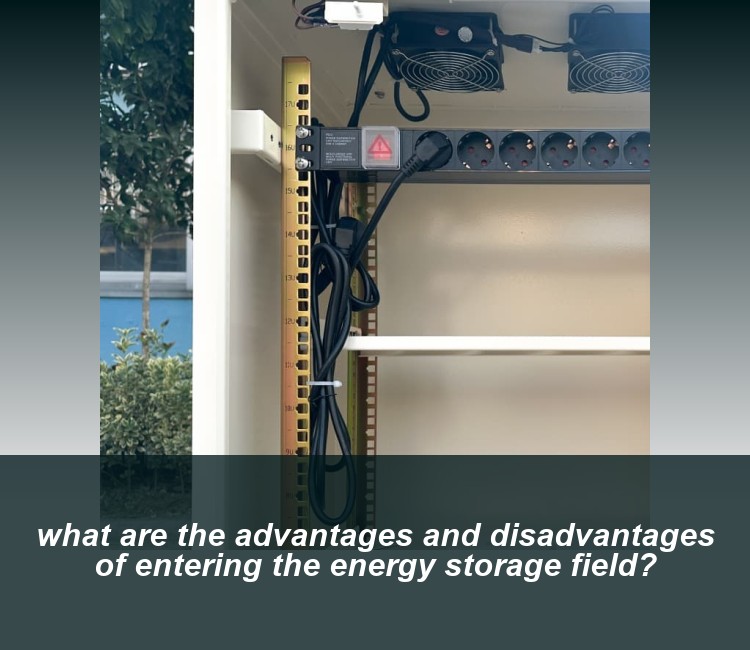 what are the advantages and disadvantages of entering the energy storage field?