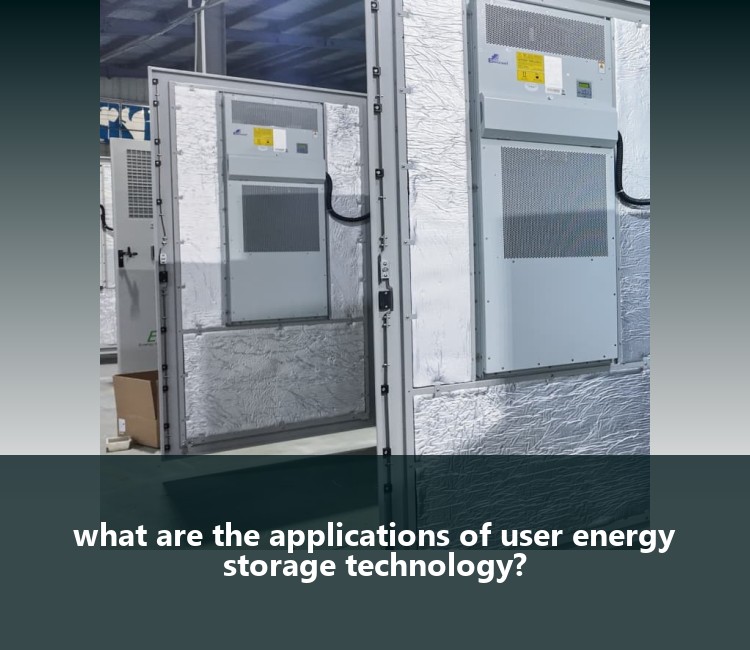 what are the applications of user energy storage technology?