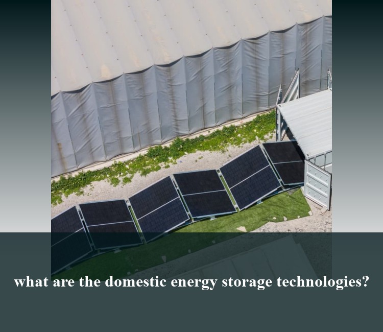 what are the domestic energy storage technologies?