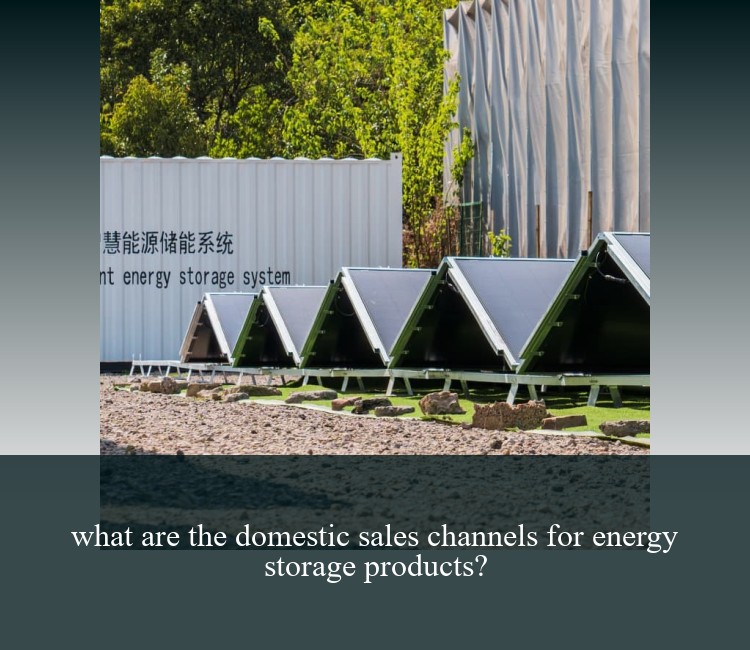 what are the domestic sales channels for energy storage products?