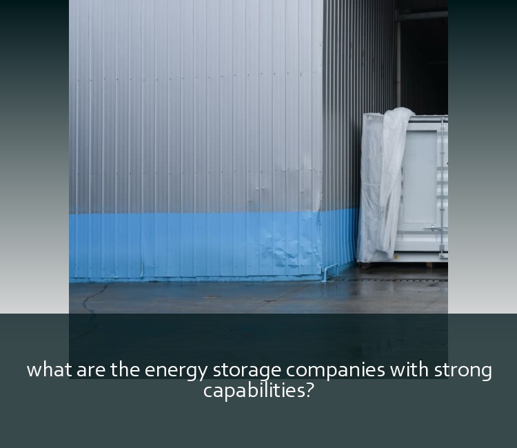 what are the energy storage companies with strong capabilities?