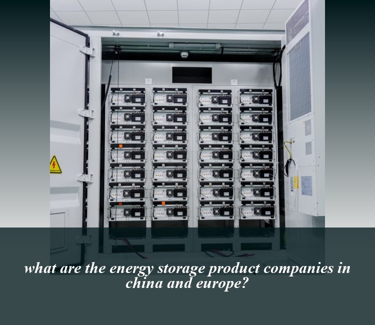 what are the energy storage product companies in china and europe?