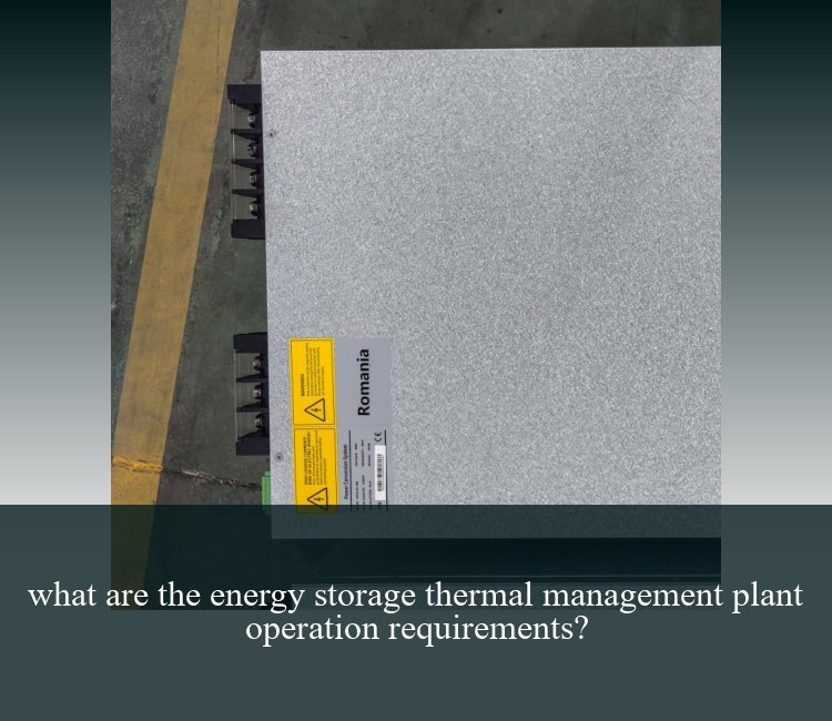 what are the energy storage thermal management plant operation requirements?