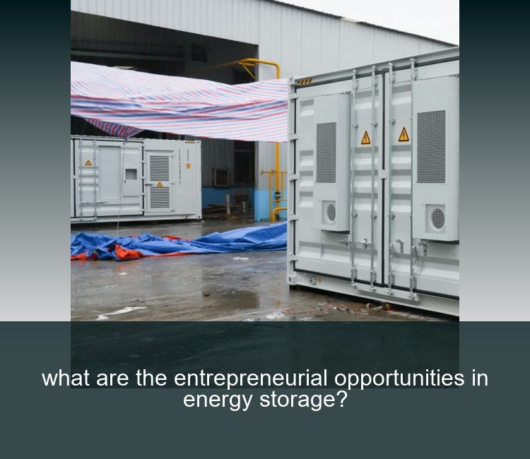 what are the entrepreneurial opportunities in energy storage?