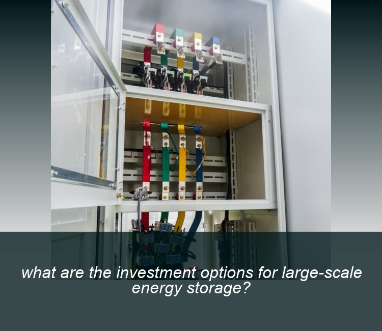 what are the investment options for large-scale energy storage?