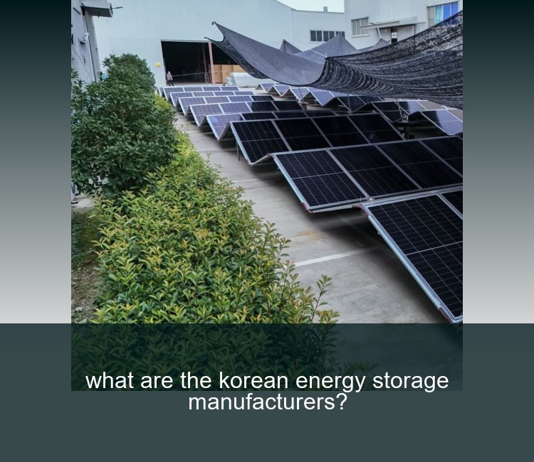what are the korean energy storage manufacturers?