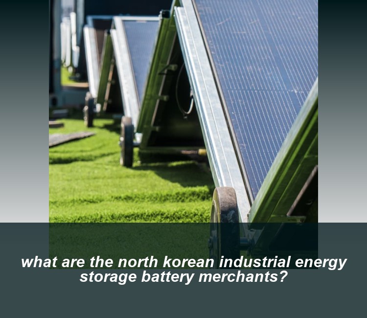 what are the north korean industrial energy storage battery merchants?