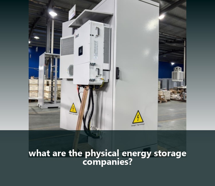 what are the physical energy storage companies?