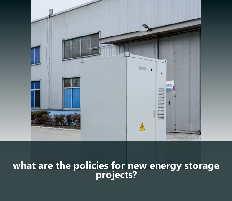 what are the policies for new energy storage projects?