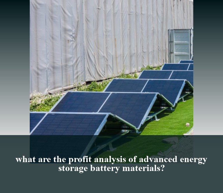 what are the profit analysis of advanced energy storage battery materials?
