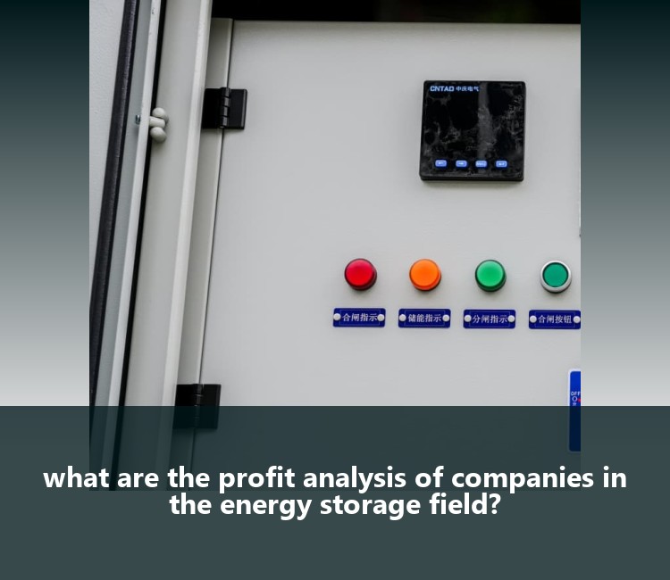 what are the profit analysis of companies in the energy storage field?