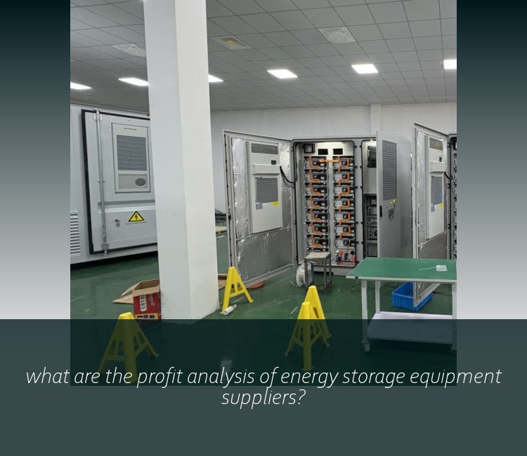 what are the profit analysis of energy storage equipment suppliers?